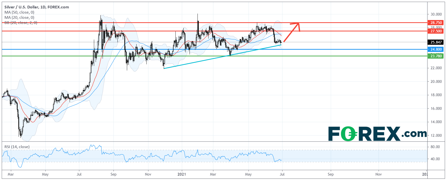 电动汽车系列:特斯拉 Tesla (TSLA.US)、小鹏汽车Xpeng (XPEV.US)